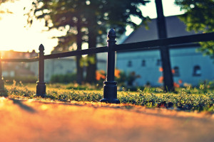 爆头、残局、绝地反击,高校杯赛每一场都让人心跳加速